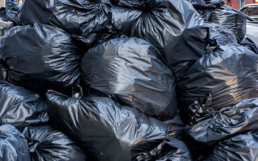 Wasted Food, Wasted Money… ERUZA!