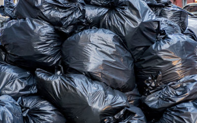 Wasted Food, Wasted Money… ERUZA!